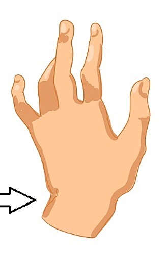 Wrist %d0%b7%d0%b0%d0%bf%d1%8f%d1%81%d1%82%d1%8f